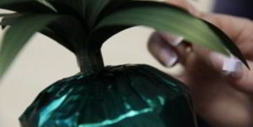 ананас из конфет