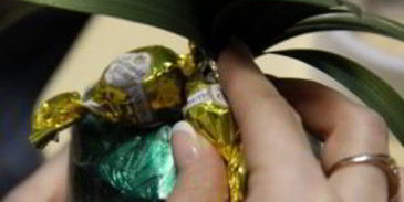 ананас из конфет