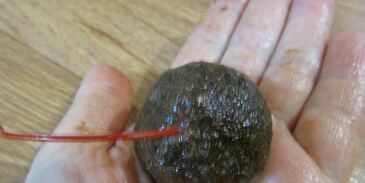 конфеты из сухофруктов с коктейльной вишней