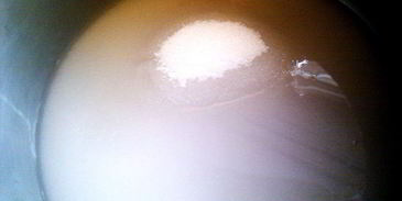 конфеты по-домашнему в фольге homequeen