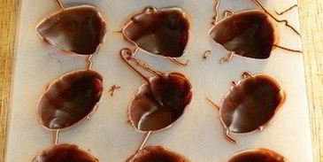 шоколадные конфеты с творожным сыром