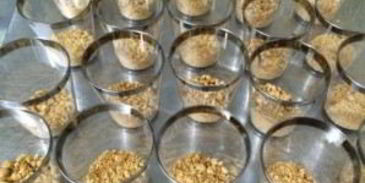 лимонный крем со сгущенкой