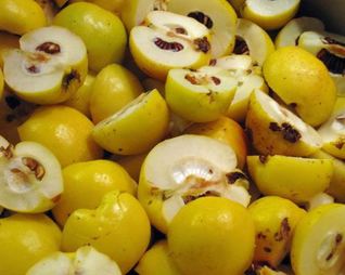 Домашний айвовый мармелад