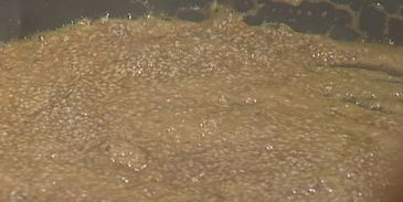 йогуртовое мороженое с козинаками