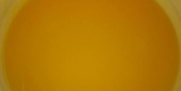 мандариновое мороженое