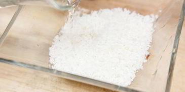 мороженое из авокадо