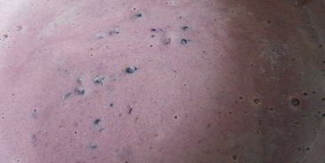 мороженое с ежевикой