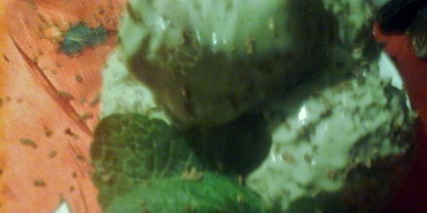 Рецепт мятна-шоколадного мороженого