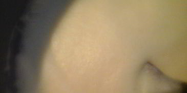 мятно-шоколадное мороженое