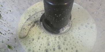 мятное мороженое с кусочками шоколада