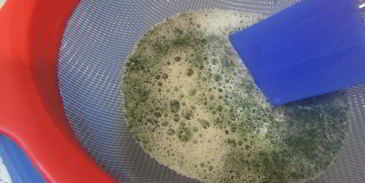 мятное мороженое с кусочками шоколада