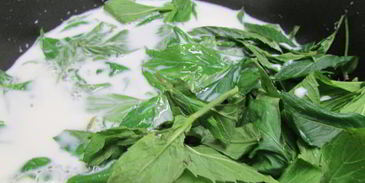 мятное мороженое с кусочками шоколада