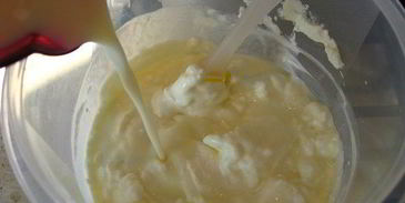 сливочное мороженое страчателла