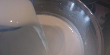 сливочное мороженое страчателла