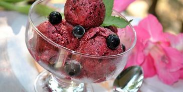 смородиново-йогуртовое мороженое диетическое