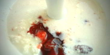 творожное мороженое стройняшка