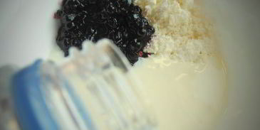 творожное мороженое стройняшка