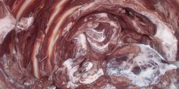 любимый шоколадный мусс