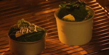 мусс из белой рыбы на пюре из брокколи