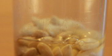 пасхальные куличики