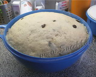 Венское тесто для куличей