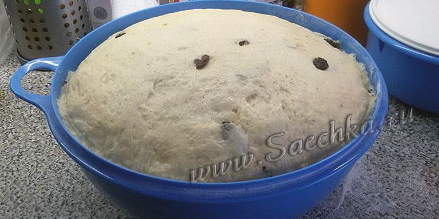 Рецепт венского теста для куличей