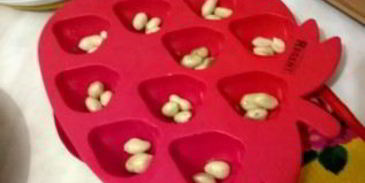 щербет с арахисом