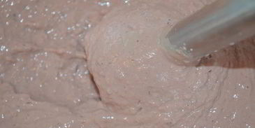 террин-суфле три вкуса