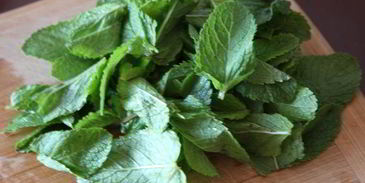 суп-сорбет из вишни с шариком ванильного мороженого вкус лета