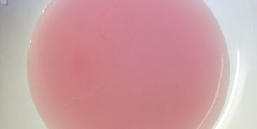 фиалковое тирамису без сырых яиц