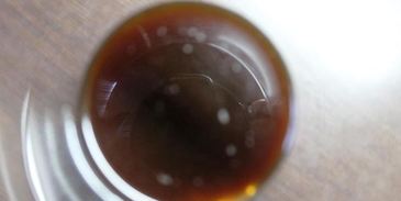 панна котта тирамису