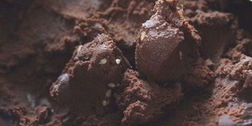 трюфели с авокадо