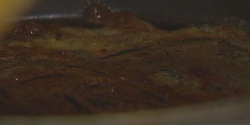 тыквенный пудинг