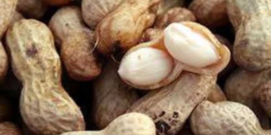 Рецепт вареного арахиса