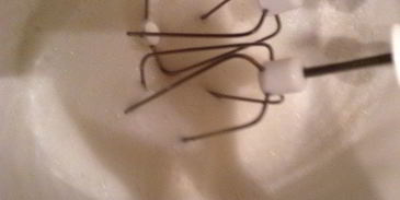 маршмеллоу