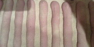 маршмеллоу