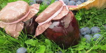 желе из запеченных в вине слив