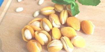 абрикосовые клецки из вахау