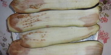 фрикадельки в баклажанных конвертах