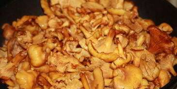 жареный картофель с лисичками