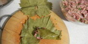 армянская долма из виноградных листьев