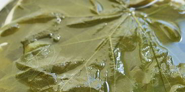 голубцы в виноградных листьях