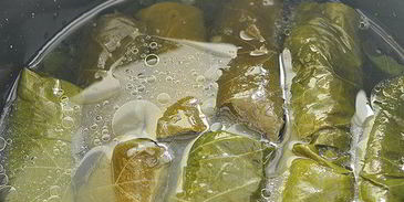 голубцы в виноградных листьях