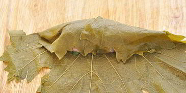 голубцы в виноградных листьях