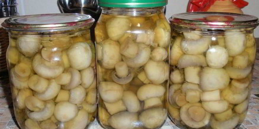 Рецепт домашних консервированных шампиньонов