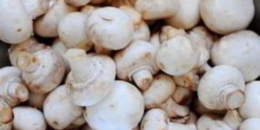 фаршированные шампиньоны праздничные