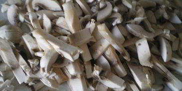 грибы бристольские