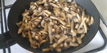 грибы бристольские