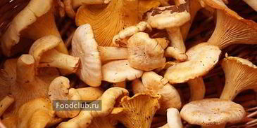 грибы-кокот