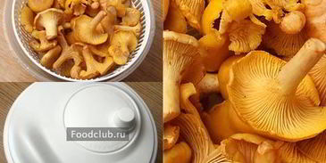 грибы-кокот